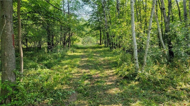 TBD 110th St, Amery, WI 54001