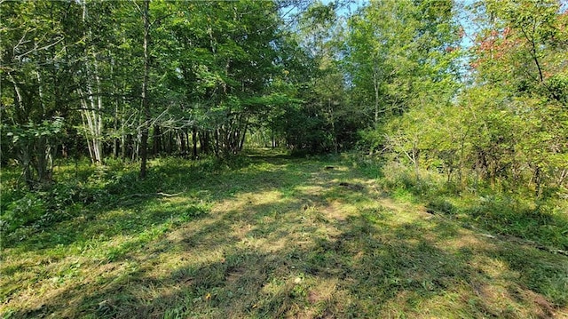 TBD 110th St, Amery, WI 54001