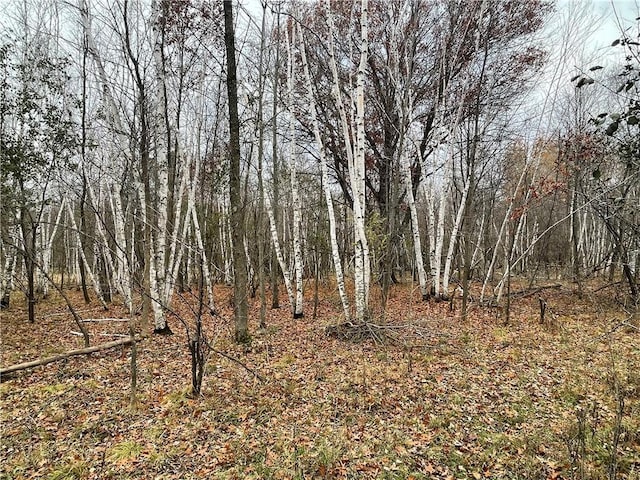 TBD 110th St, Amery, WI 54001