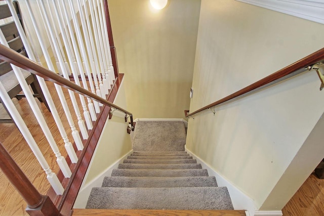 408 55th St Unit B, Kenosha, WI 53140 - staircase featuring baseboards and carpet floors