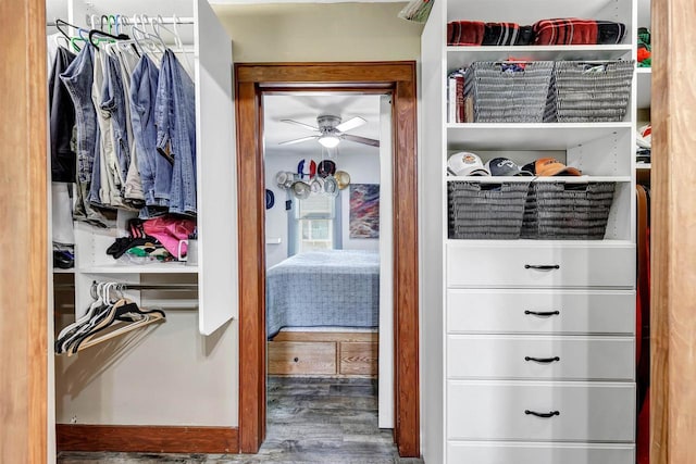 517 12th Ave, Green Bay, WI 54303 - view of closet