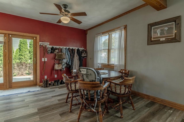 1915 7th St, Monroe, WI 53566 - dining area with wood finished floors, plenty of natural light, and a ceiling fan