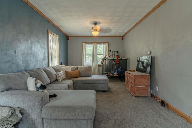 1915 7th St, Monroe, WI 53566 - living room featuring ornamental molding and light carpet