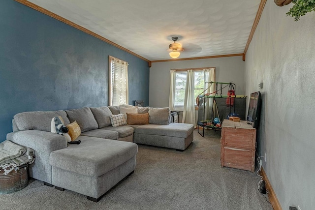 1915 7th St, Monroe, WI 53566 - living area featuring carpet floors and ornamental molding