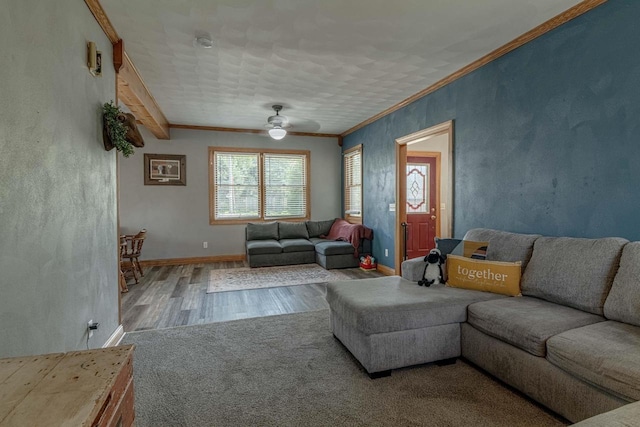 1915 7th St, Monroe, WI 53566 - living area with wood finished floors, ornamental molding, and ceiling fan