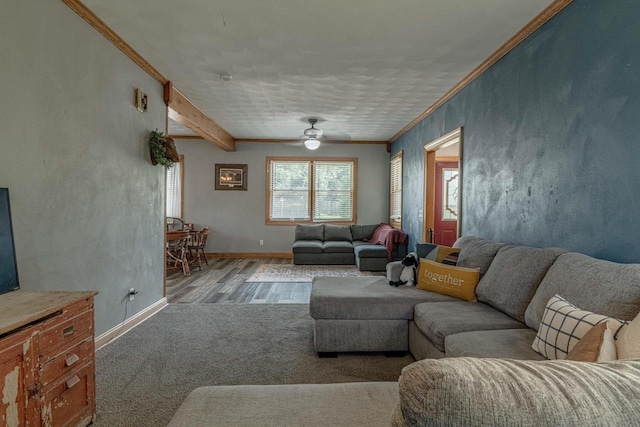 1915 7th St, Monroe, WI 53566 - living room with wood finished floors, a ceiling fan, ornamental molding, and beamed ceiling