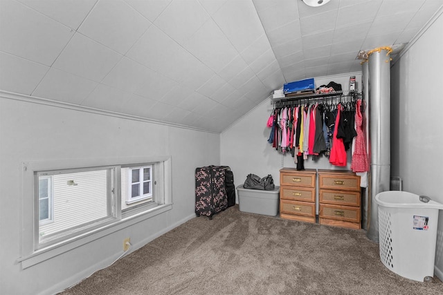 624 W 8th Ave, Oshkosh, WI 54902 - walk in closet with lofted ceiling and carpet