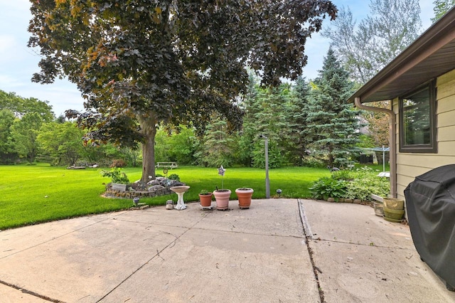 7701 W Coventry Dr, Franklin, WI 53132 - view of patio with grilling area and view of scattered trees