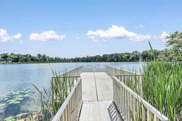 W8894 Cloverleaf Lake Rd, Clintonville, WI 54929 - dock area with a water view