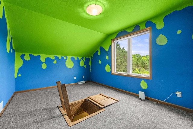 1022 Cortland Ln, Stevens Point, WI 54482 - bonus room featuring vaulted ceiling, carpet flooring, and a textured ceiling
