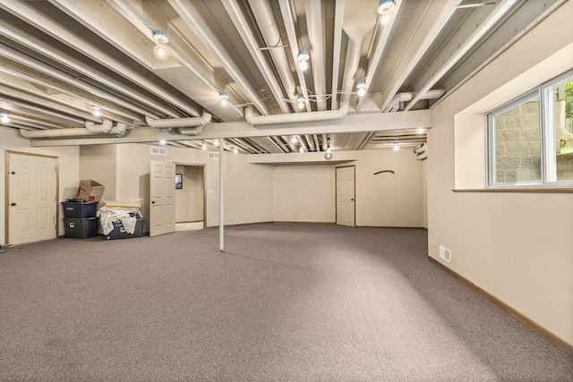 1022 Cortland Ln, Stevens Point, WI 54482 - basement featuring carpet floors
