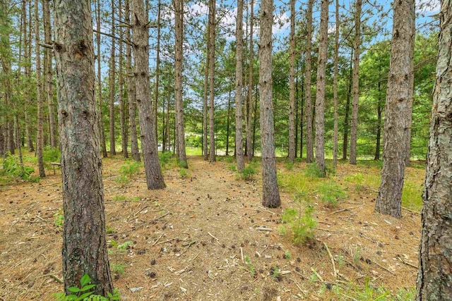 1022 Cortland Ln, Stevens Point, WI 54482 - view of tree filled area