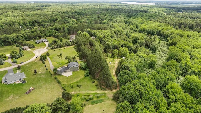 1022 Cortland Ln, Stevens Point, WI 54482 - bird's eye view of a forest