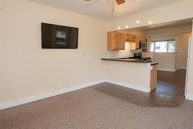 604 Wilson St, Winona, MN 55987 - kitchen with stainless steel appliances, dark colored carpet, ceiling fan, a peninsula, and dark countertops