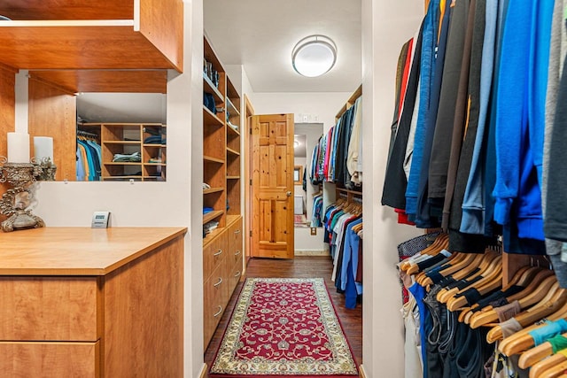 260 S Clay St, De Pere, WI 54115 - spacious closet with dark wood-type flooring