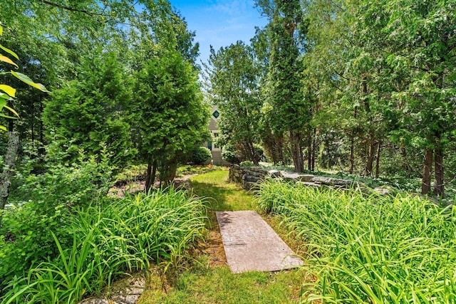 260 S Clay St, De Pere, WI 54115 - view of yard