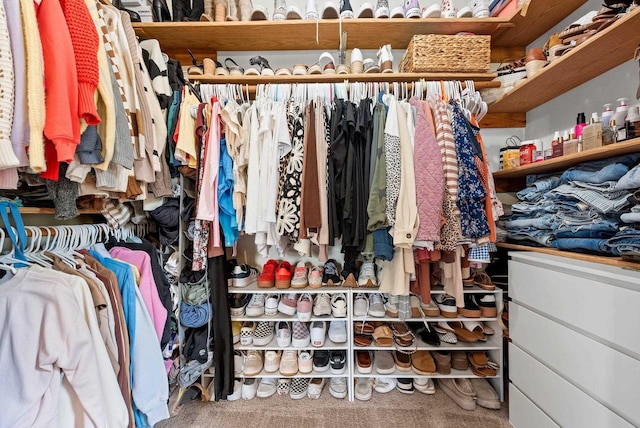 4814 Placid Way, New Franken, WI 54229 - view of spacious closet