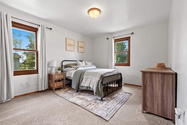 4814 Placid Way, New Franken, WI 54229 - bedroom with carpet flooring