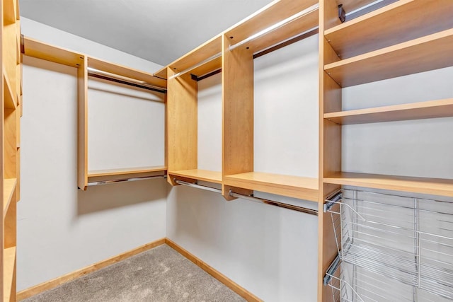 665 Black Earth Dr, De Pere, WI 54115 - spacious closet with carpet flooring