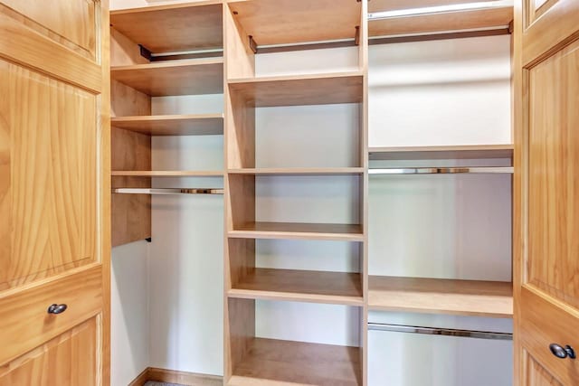 665 Black Earth Dr, De Pere, WI 54115 - view of closet