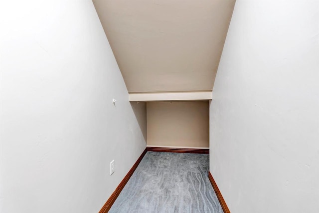 665 Black Earth Dr, De Pere, WI 54115 - walk in closet with carpet floors