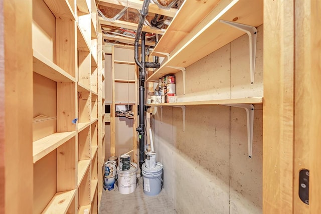 665 Black Earth Dr, De Pere, WI 54115 - view of storage room