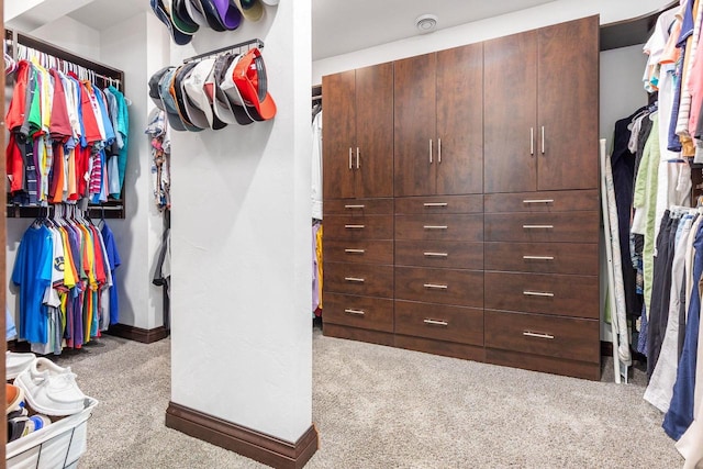 W1977 Center Valley Rd, Kaukauna, WI 54130 - spacious closet with carpet flooring