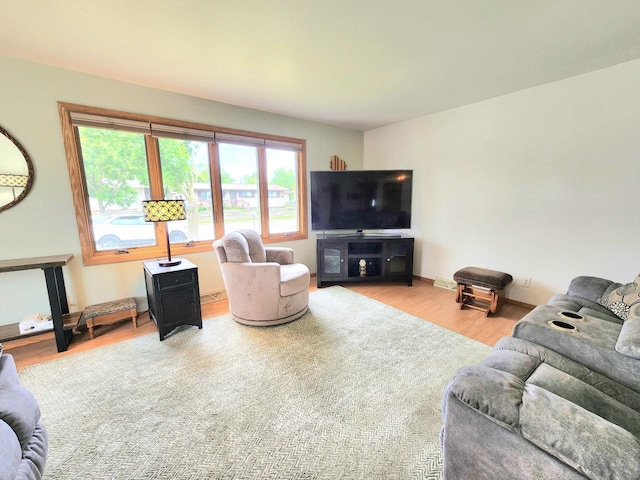 1239 Columbus Ave, Sheboygan, WI 53083 - living room featuring wood finished floors
