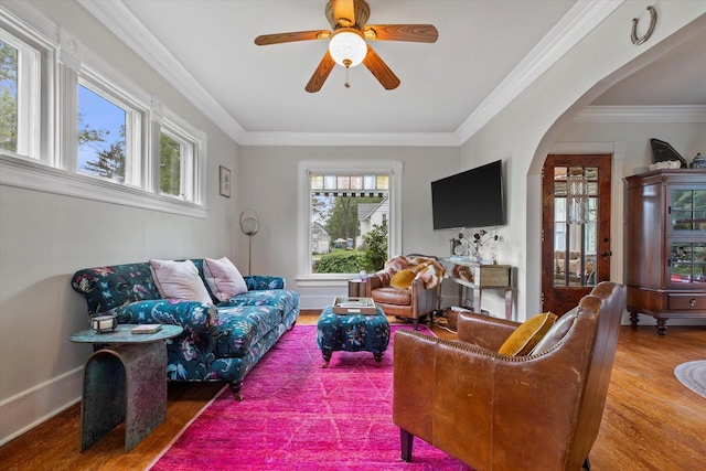 128 Maple Ave, Hartland, WI 53029 - living room with wood finished floors, healthy amount of natural light, arched walkways, a ceiling fan, and ornamental molding