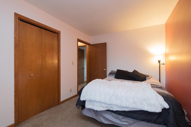 123 Westgate Dr, Iron Ridge, WI 53035 - bedroom featuring carpet and a closet