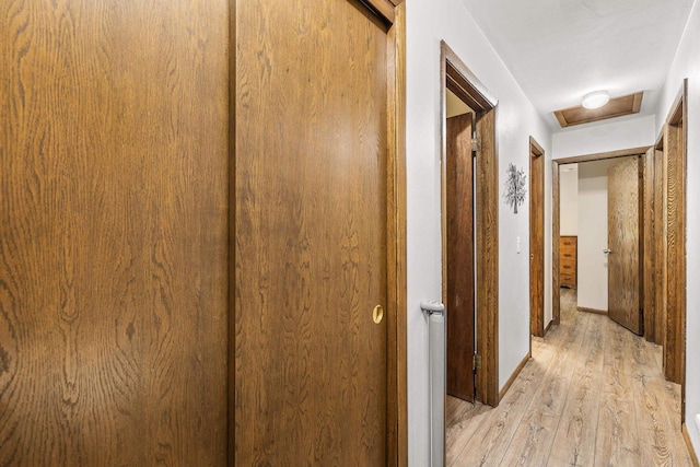 2311 Maplewood Dr, Plover, WI 54467 - corridor featuring light wood-type flooring