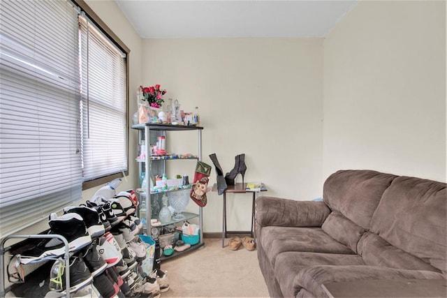 1208 Wisconsin St, Stevens Point, WI 54481 - living area with carpet floors