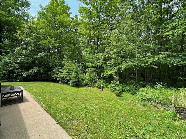 4686 W Butler Rd, Winter, WI 54896 - view of grassy yard featuring a view of trees