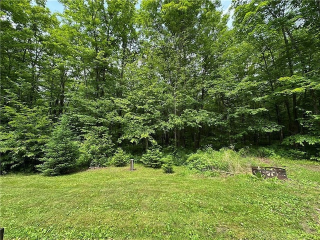 4686 W Butler Rd, Winter, WI 54896 - view of yard featuring a view of trees