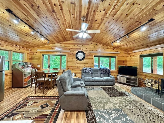 4686 W Butler Rd, Winter, WI 54896 - living area with track lighting, lofted ceiling, wood finished floors, healthy amount of natural light, and wooden walls