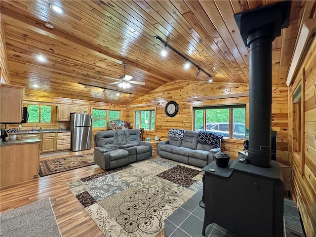 4686 W Butler Rd, Winter, WI 54896 - living area with vaulted ceiling, wood ceiling, a wood stove, rail lighting, and wood walls