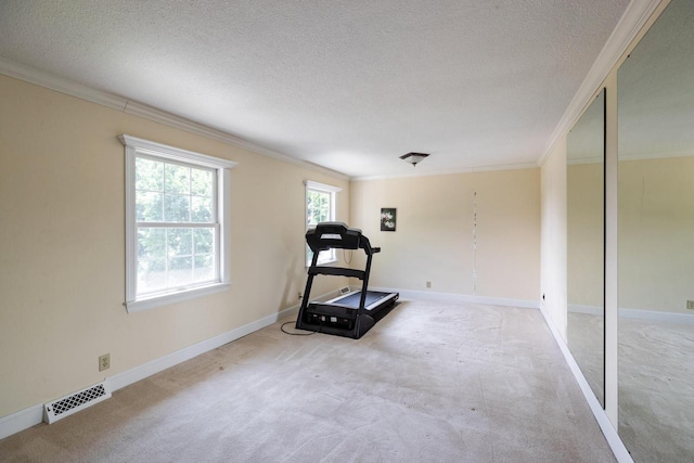 N2194 Valley Rd, La Crosse, WI 54601 - workout room with crown molding, a textured ceiling, and carpet floors