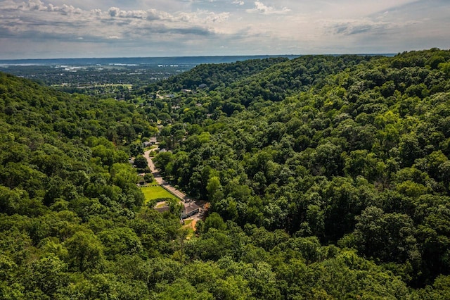 N2194 Valley Rd, La Crosse, WI 54601 - drone / aerial view of a forest