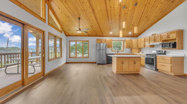 N3923 Sunny Slope Ave, Cascade, WI 53011 - kitchen featuring appliances with stainless steel finishes, light countertops, light wood-style flooring, wood ceiling, and under cabinet range hood