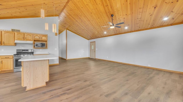 N3923 Sunny Slope Ave, Cascade, WI 53011 - kitchen with appliances with stainless steel finishes, wood ceiling, under cabinet range hood, light brown cabinets, and light countertops