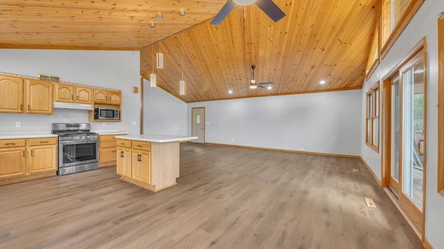 N3923 Sunny Slope Ave, Cascade, WI 53011 - kitchen with stainless steel appliances, ceiling fan, wooden ceiling, light countertops, and under cabinet range hood