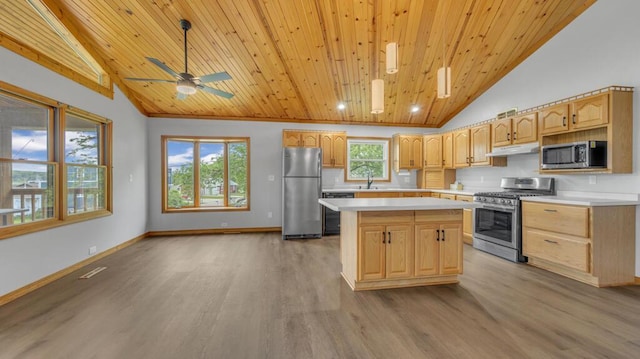 N3923 Sunny Slope Ave, Cascade, WI 53011 - kitchen featuring stainless steel appliances, under cabinet range hood, wood finished floors, light countertops, and wooden ceiling