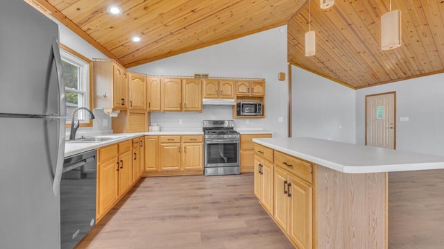 N3923 Sunny Slope Ave, Cascade, WI 53011 - kitchen featuring appliances with stainless steel finishes, under cabinet range hood, lofted ceiling, wood ceiling, and light brown cabinets