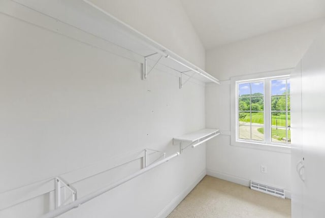205 Kummrow Ct, Wales, WI 53183 - view of walk in closet