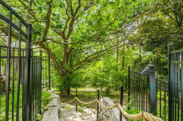 205 Kummrow Ct, Wales, WI 53183 - view of gate