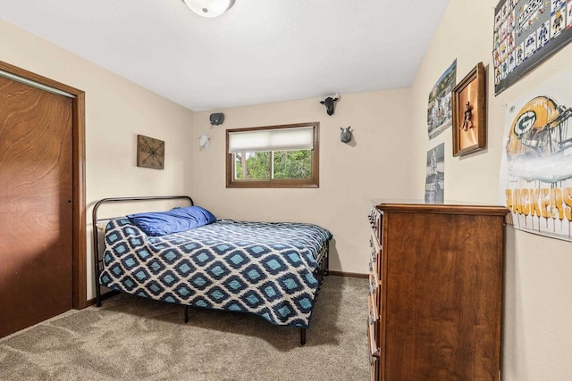 222531 Azalea Rd, Wausau, WI 54401 - bedroom with carpet and baseboards