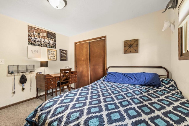222531 Azalea Rd, Wausau, WI 54401 - bedroom featuring carpet and a closet