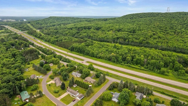 222531 Azalea Rd, Wausau, WI 54401 - bird's eye view of a forest and a main thoroughfare