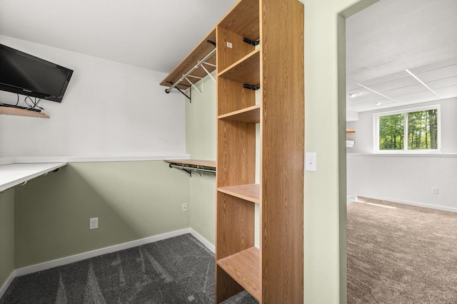 6611 Conner Davis Dr, Wausau, WI 54401 - spacious closet featuring carpet