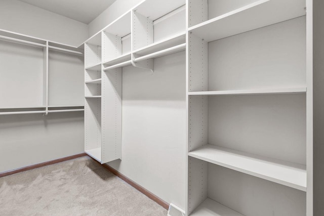 2506 Waterford Ct, Neenah, WI 54956 - spacious closet with carpet floors